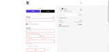 LACECLIPS20 coupon verification screenshot