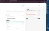 MEGA coupon verification screenshot