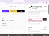 SPRING25 coupon verification screenshot