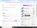 PINKVIP2025 coupon verification screenshot
