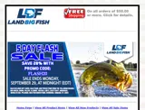 LandBigFish coupon verification screenshot