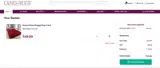 TAKE15 coupon verification screenshot