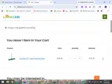DIY10 coupon verification screenshot