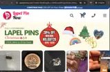 HOLIDAY20 coupon verification screenshot