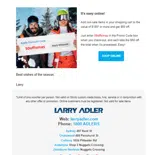 Larry Adler Ski & Outdoor coupon verification screenshot
