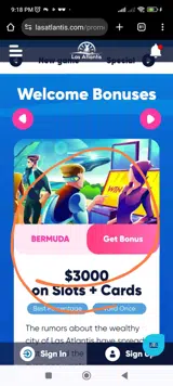 BERMUDA coupon verification screenshot