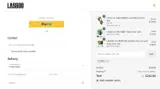DPF10 coupon verification screenshot