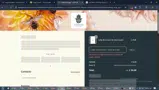 Payday20 coupon verification screenshot
