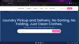 FIREWORKS2025 coupon verification screenshot