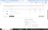 Laurel Skin coupon verification screenshot
