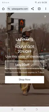 lazy20off coupon verification screenshot