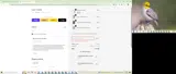 MORBID15 coupon verification screenshot