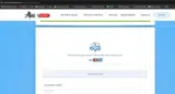 VIVE20 coupon verification screenshot
