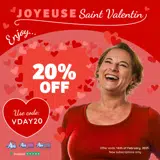 VDAY20 coupon verification screenshot