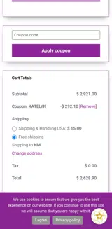 Katelyn coupon verification screenshot