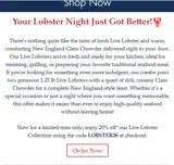 LOBSTER26 coupon verification screenshot