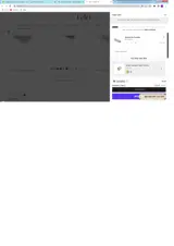 SPRINGFILING coupon verification screenshot