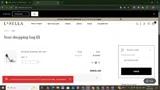 BIRTHDAYUSA20 coupon verification screenshot