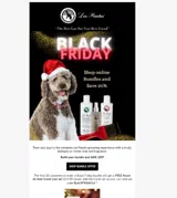 BLACKFRIDAY24 coupon verification screenshot