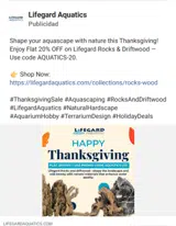 AQUATICS-20 coupon verification screenshot