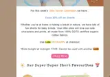 EXTRA20% coupon verification screenshot