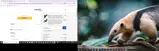 Linkifun Store coupon verification screenshot