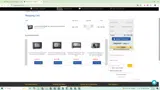 LionsDeal coupon verification screenshot