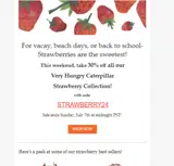 STRAWBERRY24 coupon verification screenshot