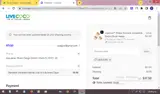 savejune coupon verification screenshot