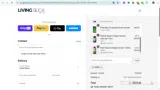 Living Silica coupon verification screenshot