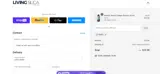 Living Silica coupon verification screenshot