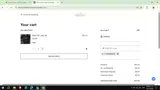 Lizzy's All Naturals coupon verification screenshot