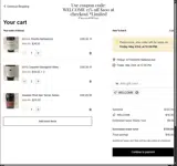 Lizzy's All Naturals coupon verification screenshot
