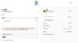 Lizzy's All Naturals coupon verification screenshot
