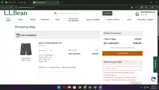 L.L. Bean Global coupon verification screenshot