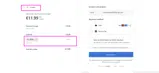 LoopCV coupon verification screenshot