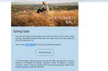 SPRINGSALE coupon verification screenshot