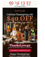 THANKSLOVE40 coupon verification screenshot
