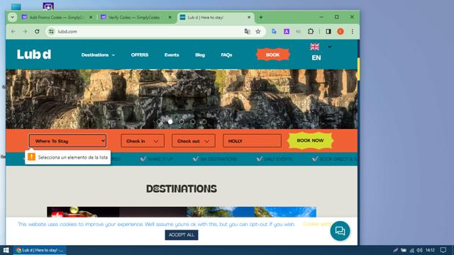 Lub d checkout page showing Lub d promo code box | Screenshot taken by SimplyCodes community member on Feb 25, 2024