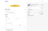 SPRINGSALE coupon verification screenshot