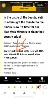 LCMON coupon verification screenshot
