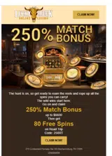 250RT coupon verification screenshot