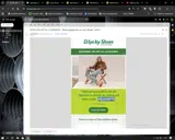 ABJ20OFFE coupon verification screenshot
