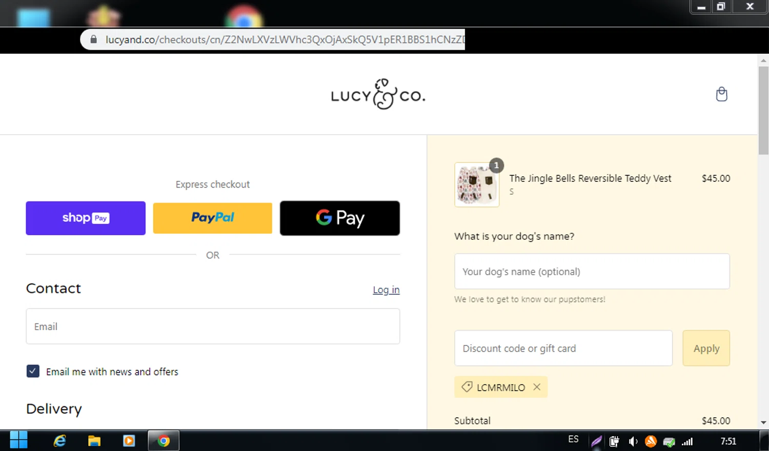 where to use Lucy & Co promo code box
