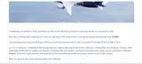 Lufthansa coupon verification screenshot