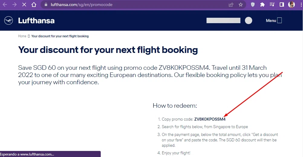 Lufthansa DE checkout page showing Lufthansa DE promo code box | Screenshot taken by SimplyCodes community member on May 1, 2022