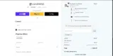 Luminess Beauty coupon verification screenshot