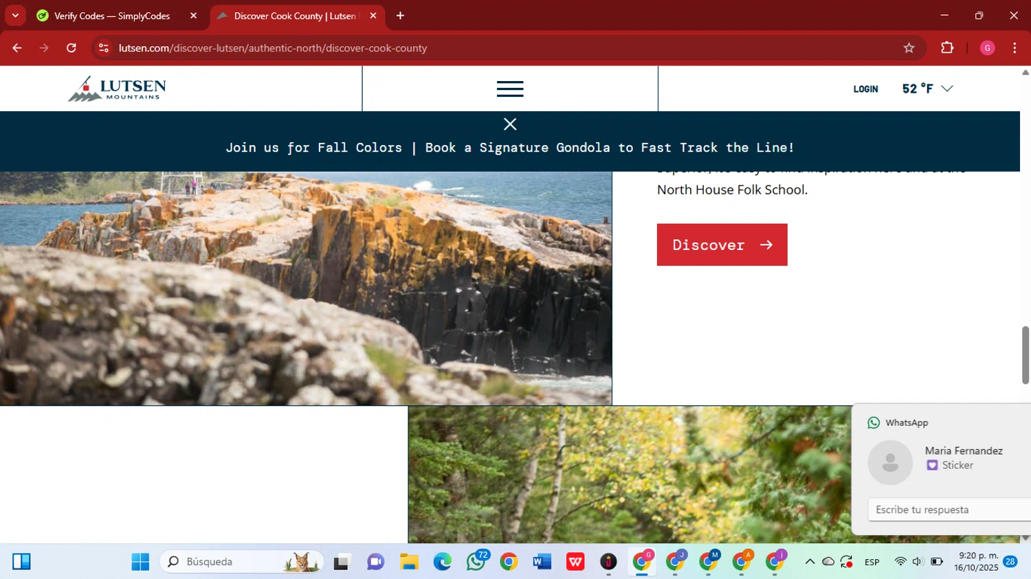 Lutsen Mountains checkout page showing Lutsen Mountains promo code box | Screenshot taken by SimplyCodes community member on Oct 17, 2025