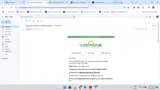 bf15 coupon verification screenshot