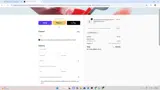 Luxiface coupon verification screenshot